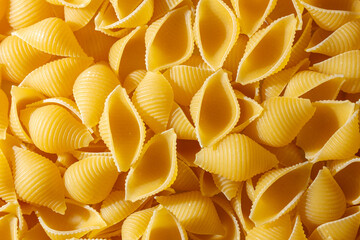 Uncooked Conchiglie Pasta: A Culinary Canvas of Conchiglie Macaroni, Creating a Lively and Textured...