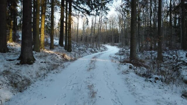 Drone shot from snowy Swedish forest