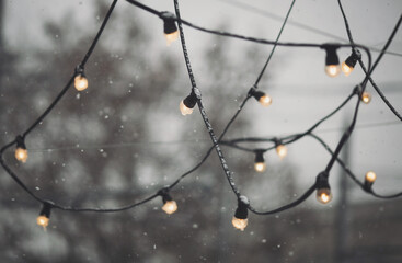 Garland of electric light bulbs on the wire hanging on naked tree branches. Illumination on the street. Outdoor string lights hanging on trees. Frozen street lighting lamps. winter weather season.