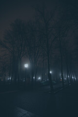 Night life on a rainy road in a city park with lanterns, monuments and trees. Dark romantic of a misty scenery. Foggy street at Midnight in park of Chisinau, Moldova. Autumn park, walkweather evening