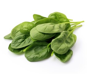 Fresh spinach leaf on white background.