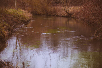 reflection in the water