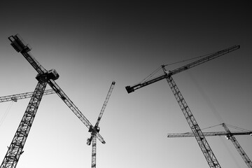 Industrial construction cranes - 695484676