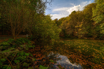 Obraz premium Autumn colors and nature views in Yedigöller national park. autumn, lake, cloud, tree, colorful leaves.