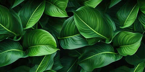 Abstract green leaf texture. Green leaves nature background, tropical leaf