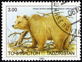 Postage stamp Tajikistan 1993 brown bear, ursus arctos, is a large bear species found across Eurasia and North America