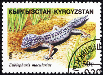 Postage stamp Kyrgyzstan 1996 leopard gecko, eublepharis macularious, is a ground-dwelling lizard native to the rocky dry grassland and desert regions of Asia