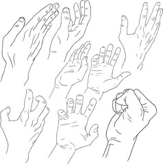 Set Of Hands Line Art in Movement & Different Pose. Crawl Pose, Fist Pose, Holding Pose