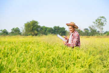 happy asian farmer standing in paddy field,collecting data,checking quality of rice plant for...