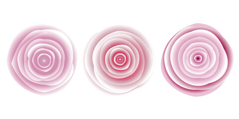 SET OF PINK ROSE FLOWER, graphic design element for design