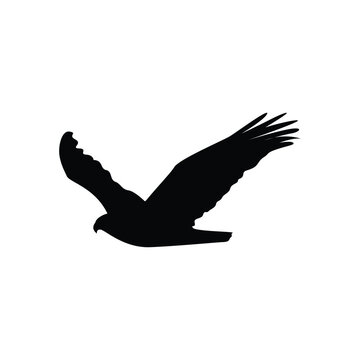 eagle logo icon
