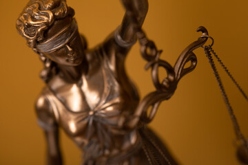 legal company or university of law and judicial structure