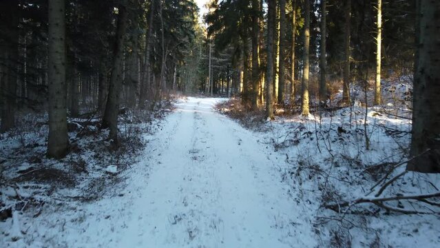 Drone shot from snowy Swedish forest