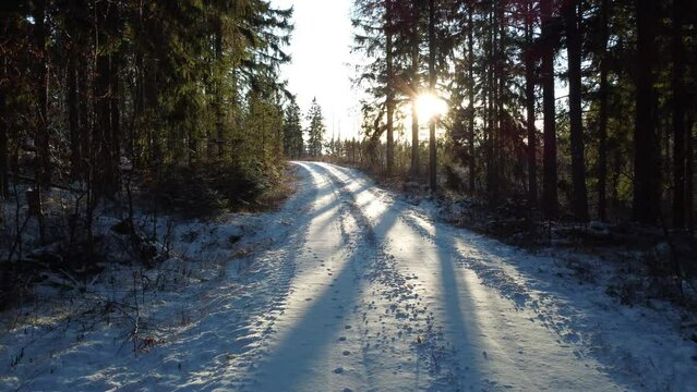 Drone shot from snowy Swedish forest