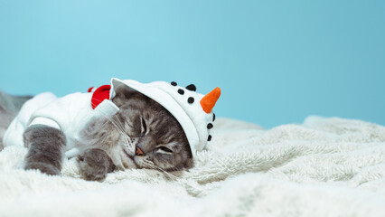 Grey tabby cat wearing a snowman white sweater in light blue background. Christmas cat sleeping

