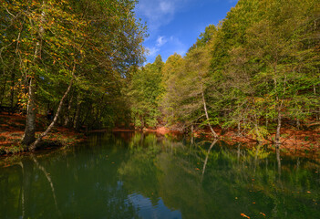 Autumn colors and nature views in Yedigöller national park. autumn, lake, cloud, tree, colorful leaves.