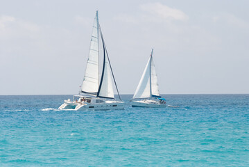 Fototapeta premium Sailing the Blue