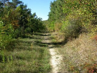 nature is back on the old highway between Eisenach and Waltershausen Thuringia, Germany