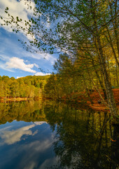 Autumn colors and nature views in Yedigöller national park. autumn, lake, cloud, tree, colorful leaves.
