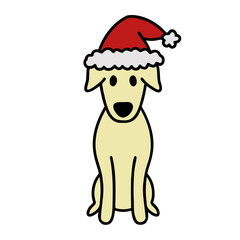 Dog In Santa Hat