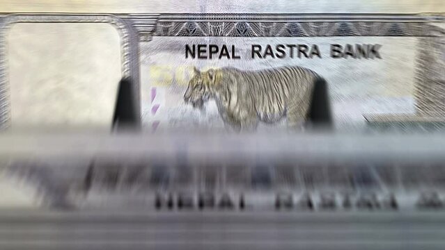 Nepal money Nepali rupees counting machine with banknotes. Quick 500 NPR currency note down rotation. Business and economy concept loopable and seamless background.