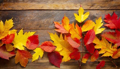 Naklejka na ściany i meble yellow and red fall leaves on wood background