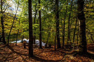 Autumn colors and nature views in Yedigöller national park. autumn, lake, cloud, tree, colorful leaves.

