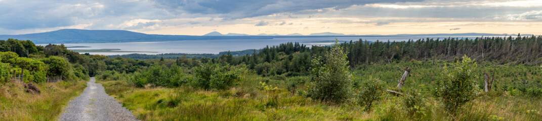 Panorama of Benbulbin forest with ocean in background