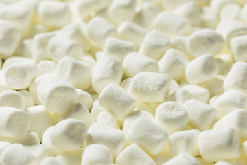 Dry White Organic Mini Marshmallows