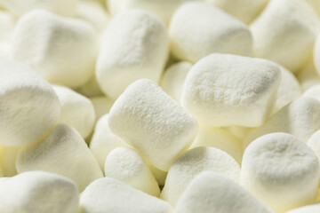 Dry White Organic Mini Marshmallows