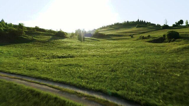 Aerial shot of tranquil oasis of greenery and rolling hills under a bright blue sky, this idyllic meadow beckons with its lush vegetation and scattered trees, inviting you to escape the hustle.