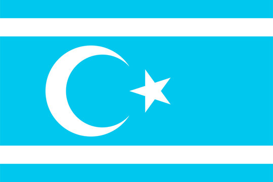 Flag of Iraq Turkmen FrontVEC