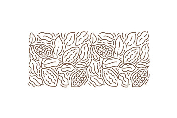 Cocoa background. Chocolate pack design element. Floral ornament. Beans and branches leaves. Editable outline stroke. Vector line.