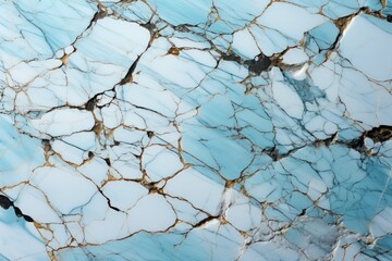  a close up of a marbled surface that looks like it has blue and gold veining on the top and bottom of it, and a black bird sitting on the bottom of the marble.