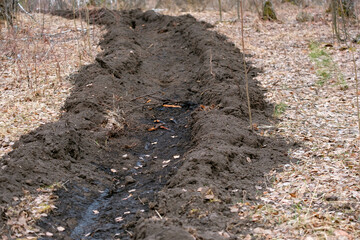A moat was dug on the ground in the forest to prevent a fire