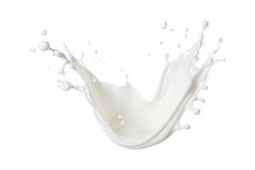 Milk drops and splashes isolated on transparent background. Abstract background with splashing white liquid
