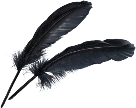 LAYER-LAB_1710228344_LC