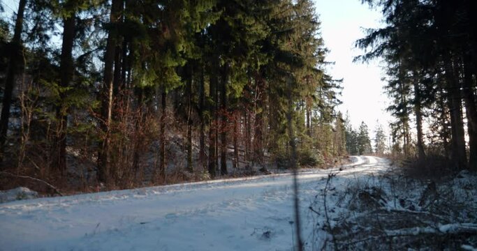 Winter in a the Swedish forest on the Omberg Mountain