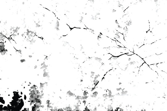 Abstract Textured Splash on Isolated Background. Abstract Paint Splattering with Textured Background. Black and white Grunge texture. Grunge Background. Abstract art. Black and white Abstract art.