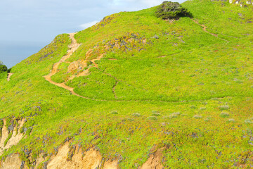 Landscape of Cabo da Roca in Portugal. Cape Roca is the westernmost point of mainland Portugal and...
