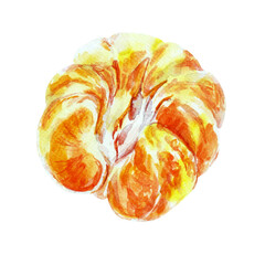 Paint of orange fruit with leaves. Watercolor hand-drawn elements. Isolated on white background. Delicious fruit clip-art illustration. Used on labels, napkins, towels, tableware, package