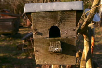 an old birdhouse on a tree