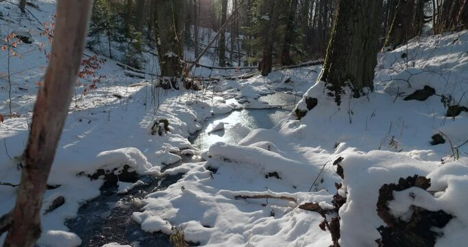 wideshot of a frozen creek in a Swedish forest on the Omberg Mountain
