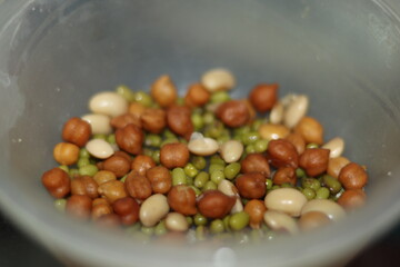 Mix of boiled Chickpeas Channa, green Pulse Moong Daal and White pulse Rajma in A plastic bowl for protein, selective focus