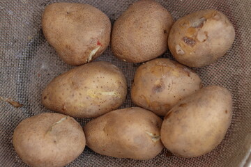 Shot of bunch of Indian Brown boiled potatoes in a net Basket or plate