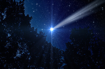 Christmas Star, birth of Jesus Christ over the trees - 695552835