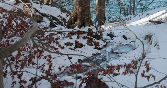 wideshot of a frozen creek in a Swedish forest on the Omberg Mountain