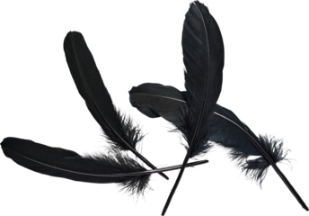 LAYER-LAB_1710228348_LC