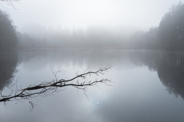 Fog by the lake in autumn