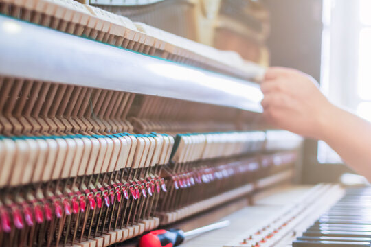 Soft Focus and Blur,The pianist is fixing and adjusting the sound of the piano correctly and precisely so that the practice and performance of the piano will be melodious and without glitches.